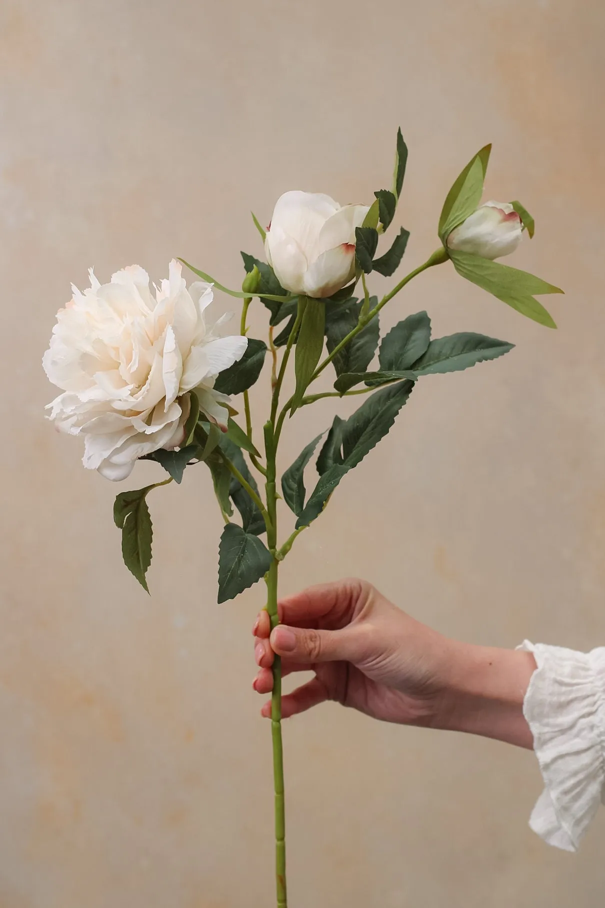 Faux Nude Peony & Rose Spray