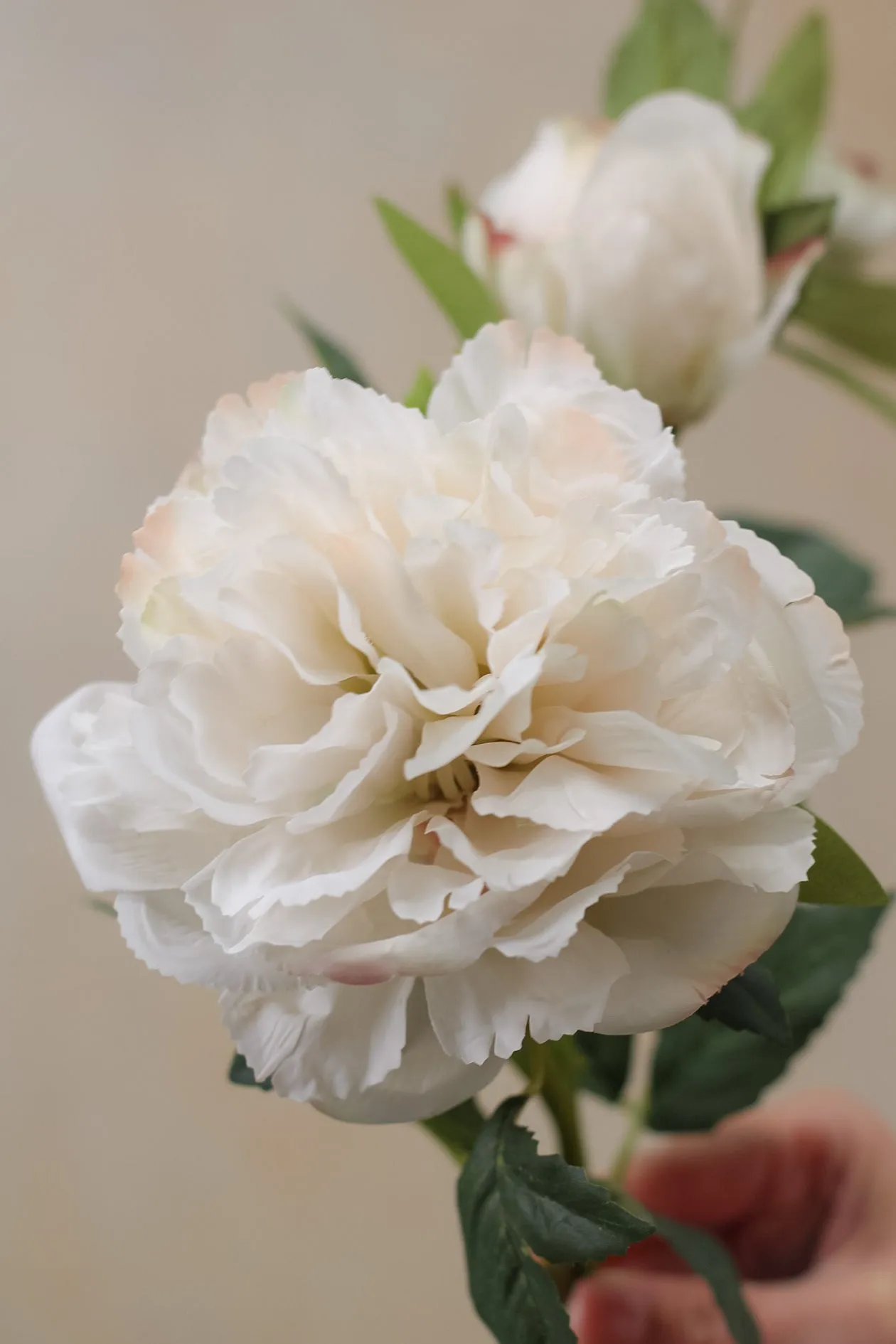 Faux Nude Peony & Rose Spray