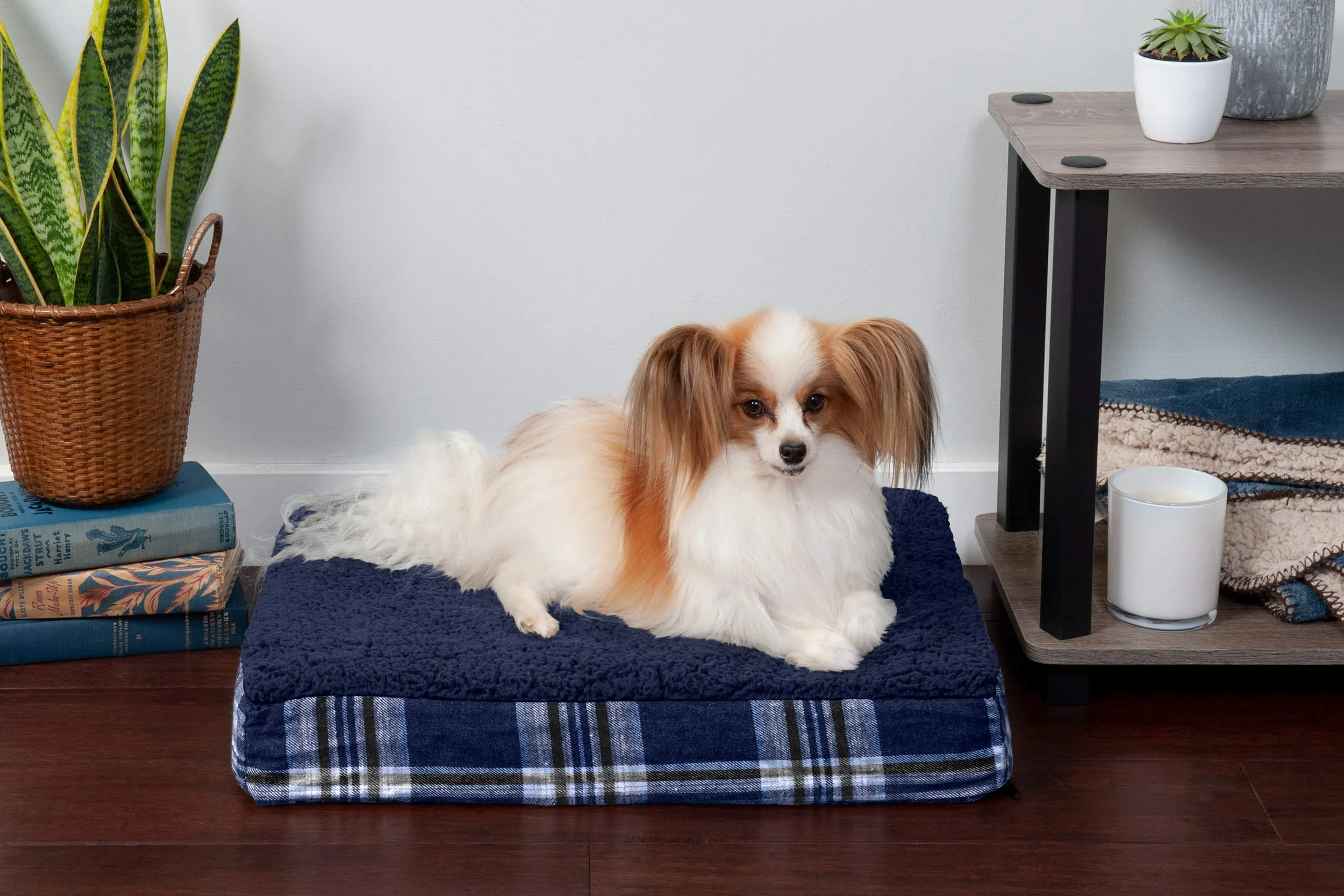 Orthopedic Foam Mattress Bed for Dogs & Cats