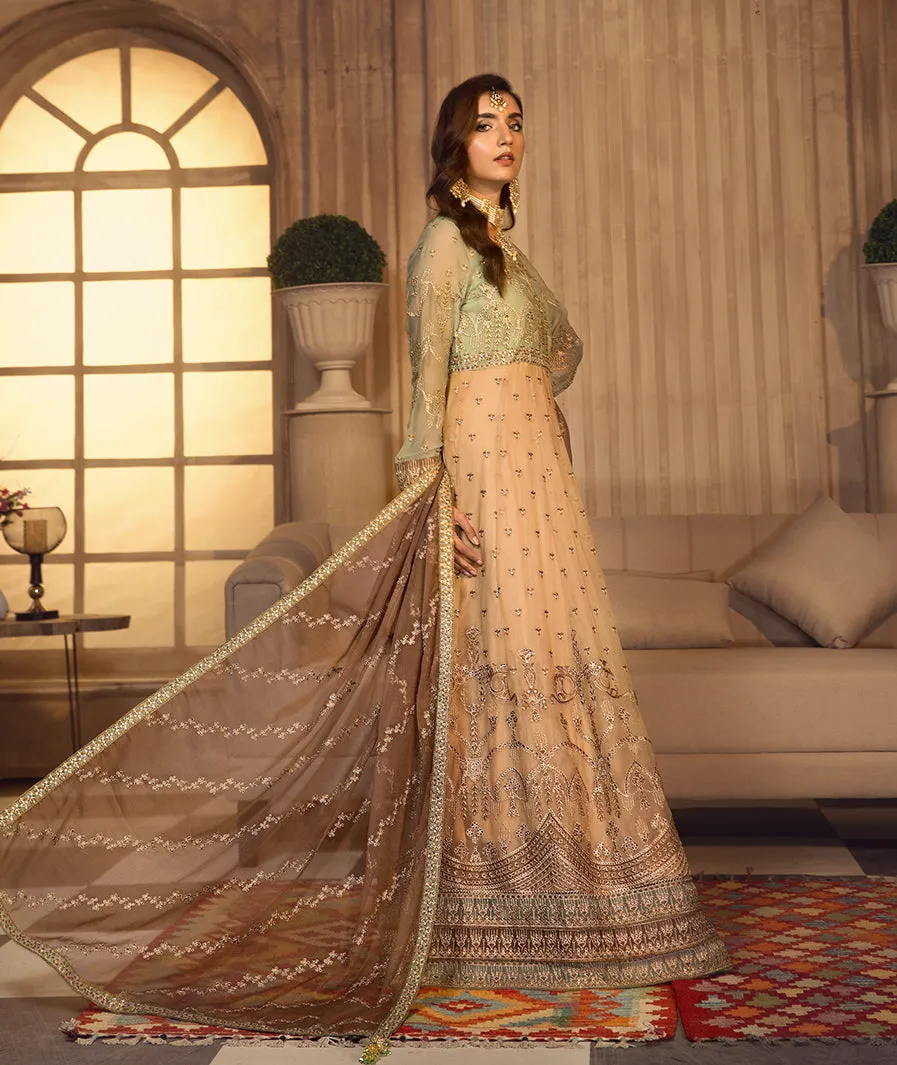 Zarif Noor e Rang Luxury Chiffon Collection – FALAK