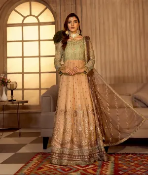 Zarif Noor e Rang Luxury Chiffon Collection – FALAK