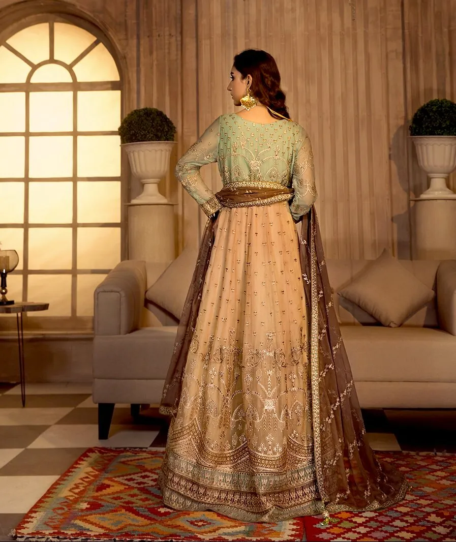 Zarif Noor e Rang Luxury Chiffon Collection – FALAK